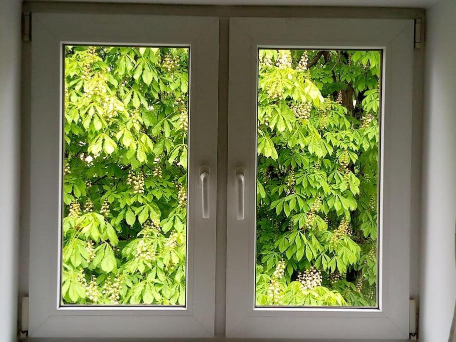 White Door Apartments Heart Of Odessa 4 Εξωτερικό φωτογραφία